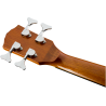 BAS GITARA ELEKTRO-AKUSTIČNA FENDER CB-60SCE Natural