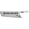 SYNTHESIZER ROLAND AX-EDGE-W