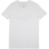 FENDER SPAGHETTI LOGO WHITE L MAJICA
