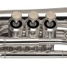 LEVANTE LV-TR4411 POCKET TRUBA