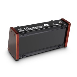 PALMER MONICON L PASSIVE KONTROLER