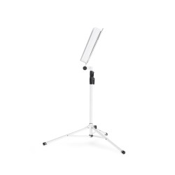 GRAVITY NS 441 W STALAK NOTE