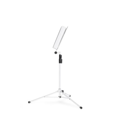 GRAVITY NS 441 W STALAK NOTE