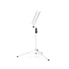 GRAVITY NS 441 W STALAK NOTE