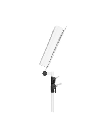 GRAVITY NS 441 W STALAK NOTE