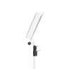 GRAVITY NS 441 W STALAK NOTE