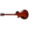 LTD EC-256 FM DBSB dark brown sunburst GITARA ELEKTRIČNA
