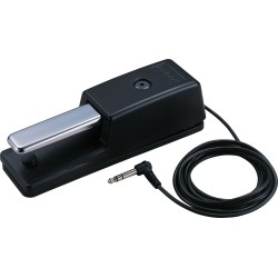 ROLAND SUSTAIN DP-10 PEDALA