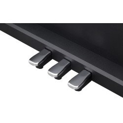ROLAND RP 102-BK Black DIGITALNI PIANINO