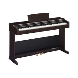YAMAHA YDP-105 R DIGITALNI PIANINO 