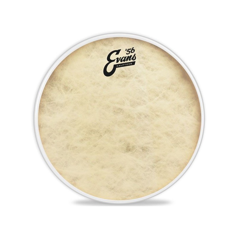 EVANS TT13C7 13" CALFTONE PLASTIKA