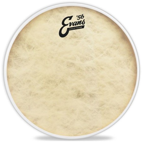 EVANS TT13C7 13" CALFTONE PLASTIKA