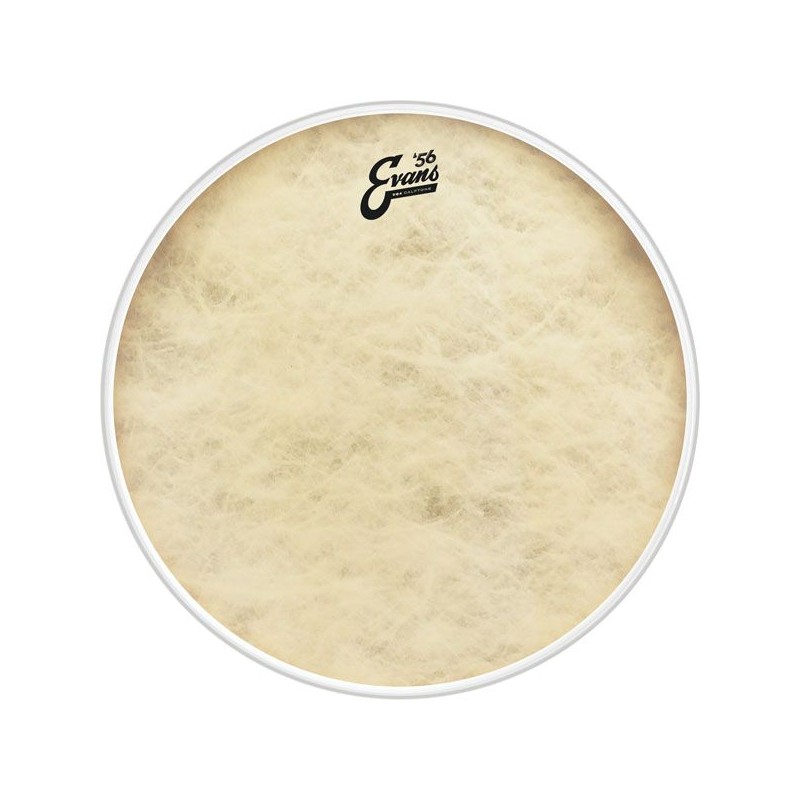 EVANS BD18GB4CT EQ4 18" CALFTONE PLASTIKA