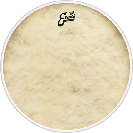 EVANS BD20GB4CT EQ4 20" CALFTONE PLASTIKA
