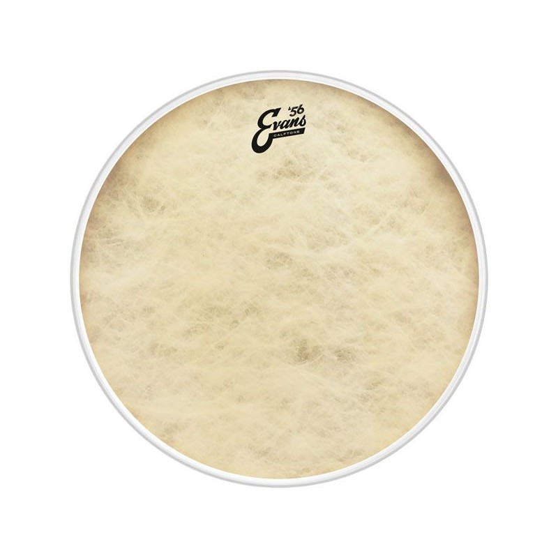 EVANS BD22CT 22" CALFTONE PLASTIKA