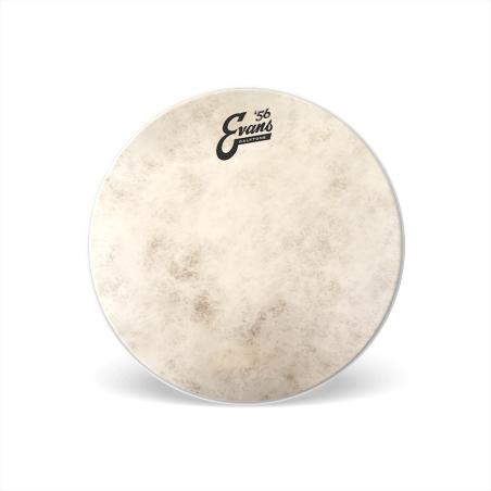 EVANS TT14C7 14" CALFTONE PLASTIKA
