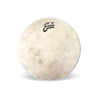 EVANS TT14C7 14" CALFTONE PLASTIKA