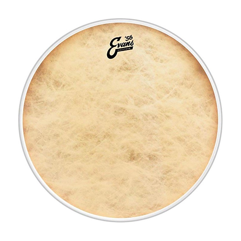 EVANS BD20CT 20"  CALFTONE PLASTIKA
