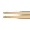 MEINL SB102 STANDARD 5B PALICE