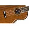 FENDER ZUMA CONCERT NAT WN UKULELE
