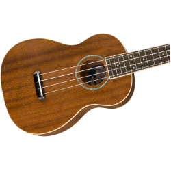 FENDER ZUMA CONCERT NAT WN UKULELE