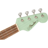 FENDER AVALON TENOR SFG WN UKULELE