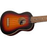 FENDER VENICE SOPRANO 2TS WN UKULELE