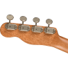 FENDER ZUMA CONCERT BOCOTE WN UKULELE
