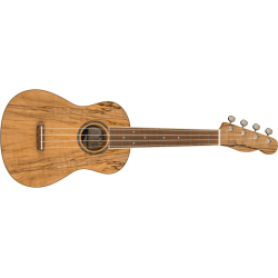 FENDER ZUMA CONCERT SPALTED WN UKULELE