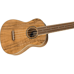 FENDER ZUMA CONCERT SPALTED WN UKULELE