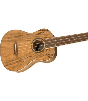 FENDER ZUMA CONCERT SPALTED WN UKULELE