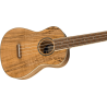 FENDER ZUMA CONCERT SPALTED WN UKULELE