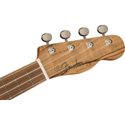 FENDER ZUMA CONCERT SPALTED WN UKULELE
