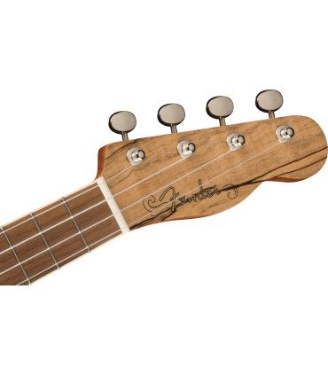 FENDER ZUMA CONCERT SPALTED WN UKULELE