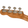 FENDER ZUMA CONCERT SPALTED WN UKULELE