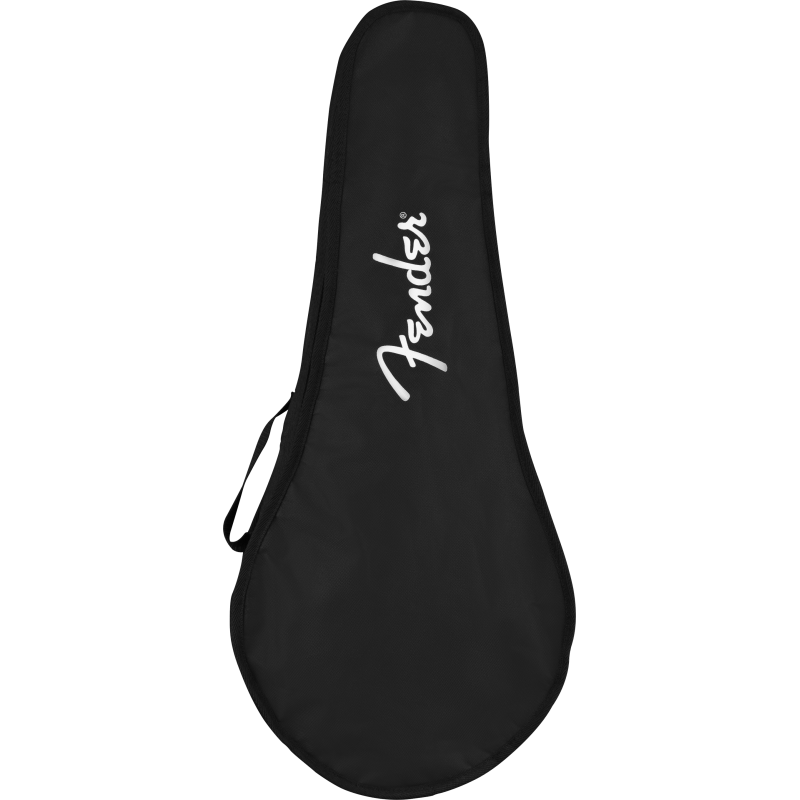 FENDER PM-180E MANDOLINA