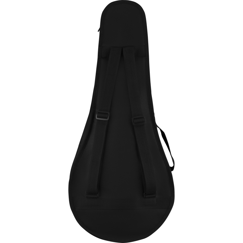 FENDER PM-180E MANDOLINA