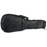 ROCKBAG UKULELE RB20002 B tenor NAVLAKA