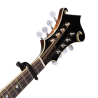 D'ADDARIO PW-CP-11 NS BANJO MANDOLIN KAPODASTER