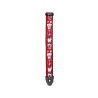 PLANET WAVES 50PLJS02 Joe Satriani LOCK IN FLAMES REMEN