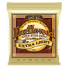 ERNIE BALL GITARA AKUSTIČNA EARTHWOOD 10-50 ŽICE