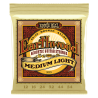 ERNIE BALL GITARA AKUSTIČNA EARTHWOOD 12-54 ŽICE