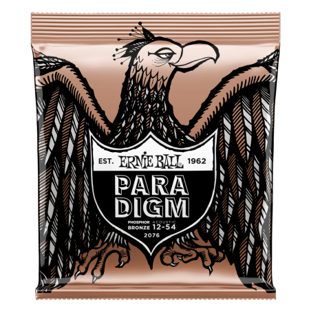 ERNIE BALL GITARA AKUSTIČNA PARADIGM 12-54 PB ŽICE