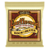 ERNIE BALL GITARA AKUSTIČNA EARTHWOOD rock&blues 10-52 ŽICE