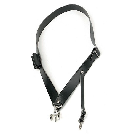 MINI RAZGLAS LANEY CDPA-2 160W 2x10" + 2 MIC