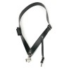 MINI RAZGLAS LANEY CDPA-2 160W 2x10" + 2 MIC