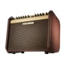 FISHMAN LOUDBOX MINI BLUETOOTH POJAČALO