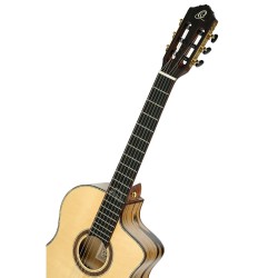 ORTEGA BILLY WATMAN SIGNATURE BYWSM GITARA ELEKTRO-KLASIČNA