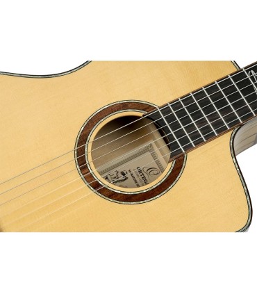 ORTEGA BILLY WATMAN SIGNATURE BYWSM GITARA ELEKTRO-KLASIČNA