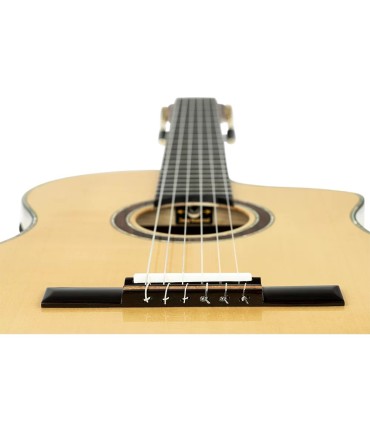 ORTEGA BILLY WATMAN SIGNATURE BYWSM GITARA ELEKTRO-KLASIČNA